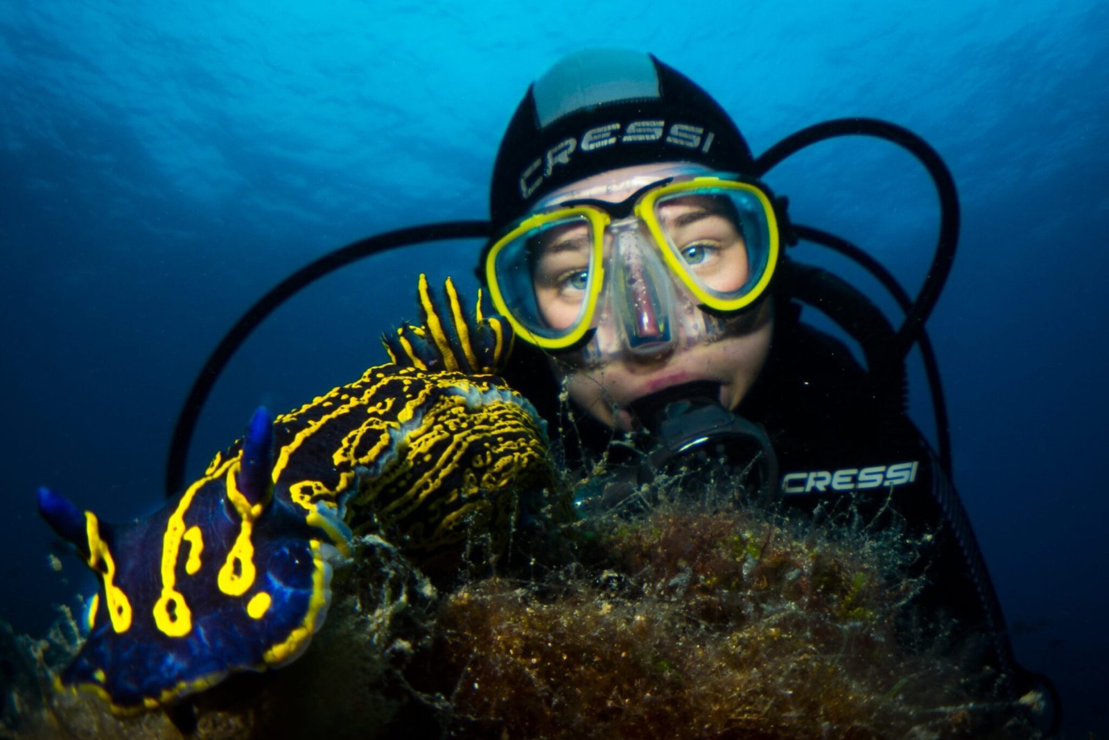 Buceador observando un nudibranquio de colores sobre el fondo marino