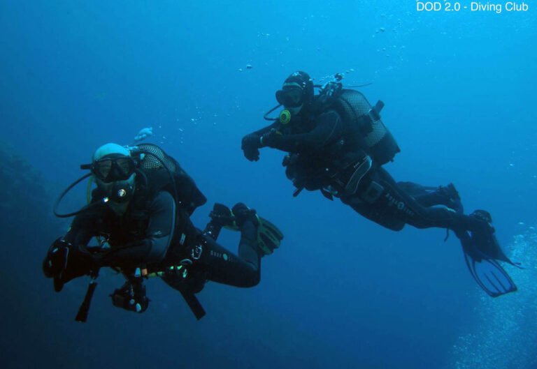 Diving prices in Tenerife: full guide + real costs explained