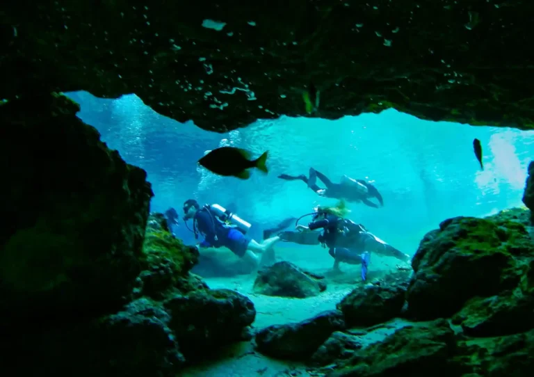 Diving in Gran Canaria: Complete Guide + Best Dive Sites (2026)