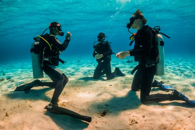 Discover scuba diving experience in South Tenerife | Where to do it and real prices
