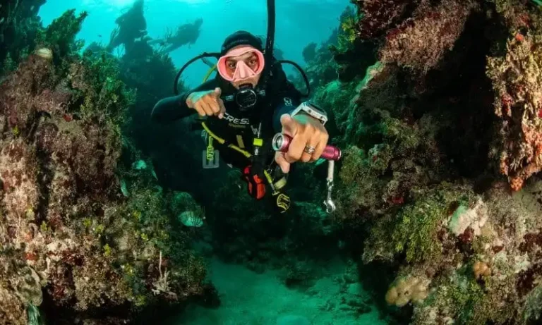 Best Beginner Diving Spots in the Canary Islands | Complete Guide