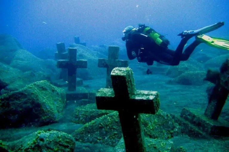 Discover Scuba Diving La Palma: REAL Prices + Best Spots (Book Before It’s Full)