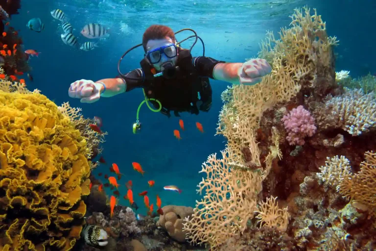 Diving Prices in Los Cristianos | How Much Does It Really Cost?
