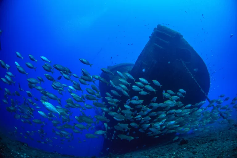 Explorando el pecio El Condesito durante una inmersión en Tenerife Sur