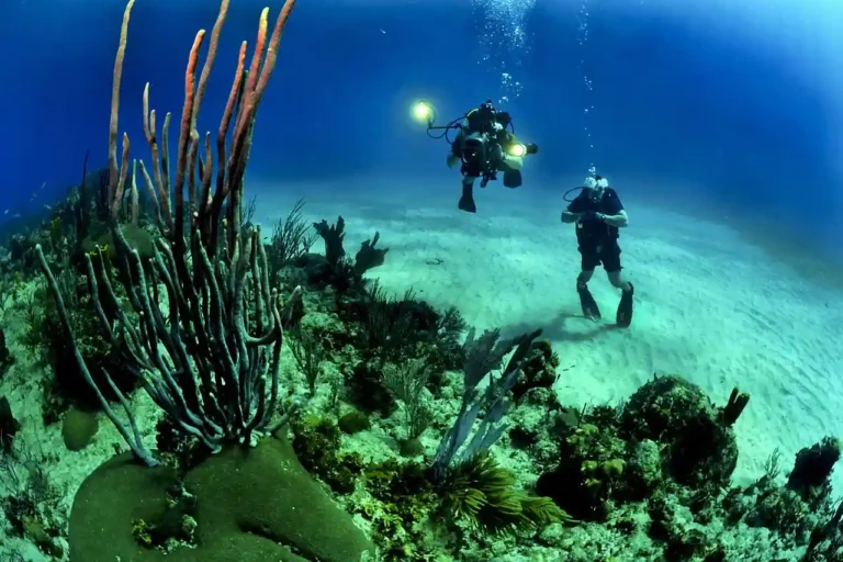 Instructor and beginner diver swimming near the maximum discover scuba diving depth of twelve meters.