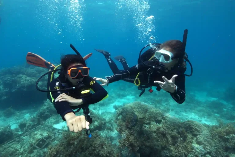Instructor enseñando señales de comunicación submarina a un alumno durante un curso Open Water Diver en Tenerife