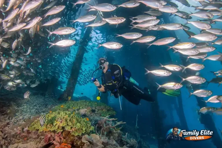 Buceador rodeado por un banco de peces durante una inmersión en Lanzarote