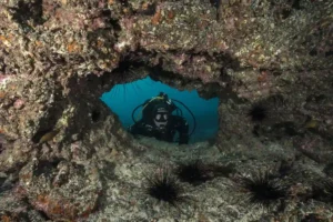 Buceador mirando por un agujero de lava volcánica durante una inmersión en Lanzarote