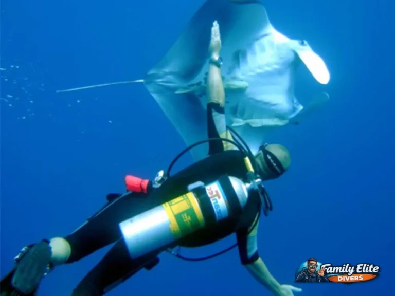 Diver using Nitrox swimming next to a ray during a recreational scuba dive