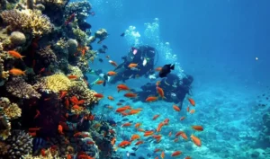 Happy female diver making the OK signal during a scuba diving experience in Lanzarote