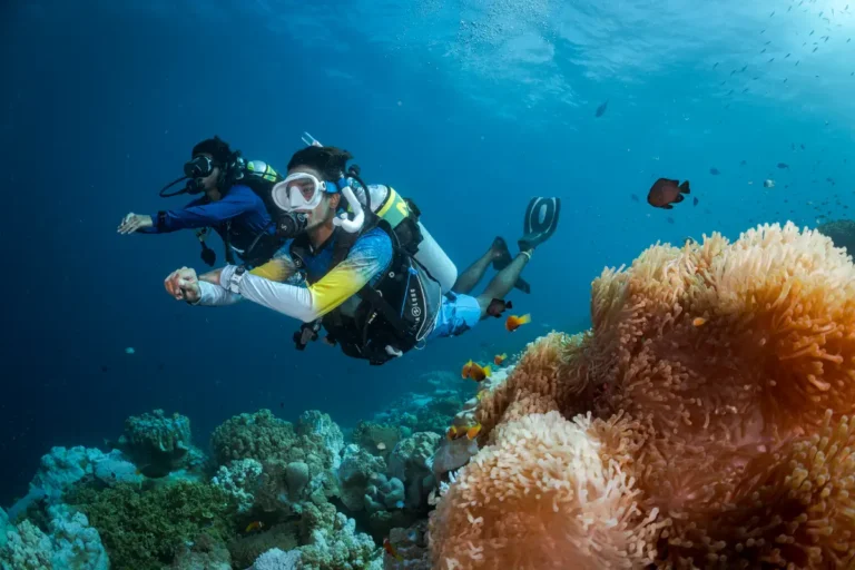 Dos buceadores buceando tranquilamente durante una inmersión en Lanzarote