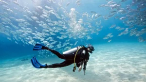 Diver surrounded by a school of fish during a recreational scuba dive