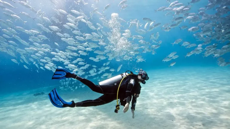 Diver surrounded by a school of fish during a recreational scuba dive