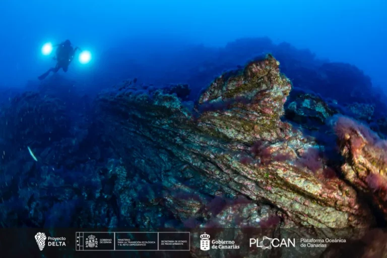 Diver during a night dive in a volcanic underwater area in La Palma
