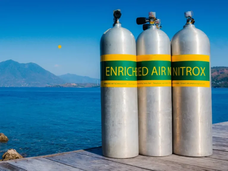 Three Nitrox cylinders prepared for a recreational scuba diving experience
