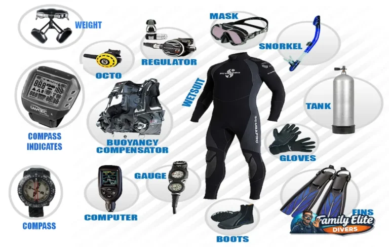 Partes del material de buceo organizadas para entender el equipo básico