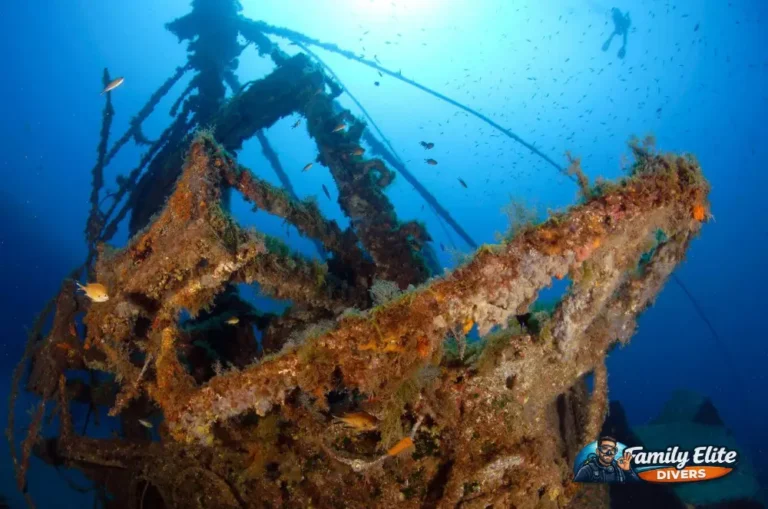 Underwater wreck in Tenerife during a scuba diving experience